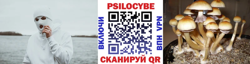 Галлюциногенные грибы Magic Shrooms  Сарапул 